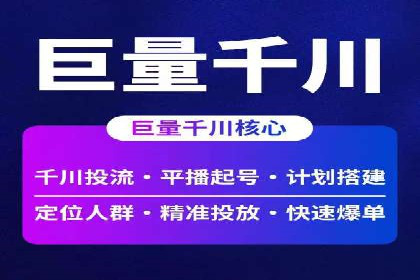 百度竞价推广案例：行业领军者成长故事
